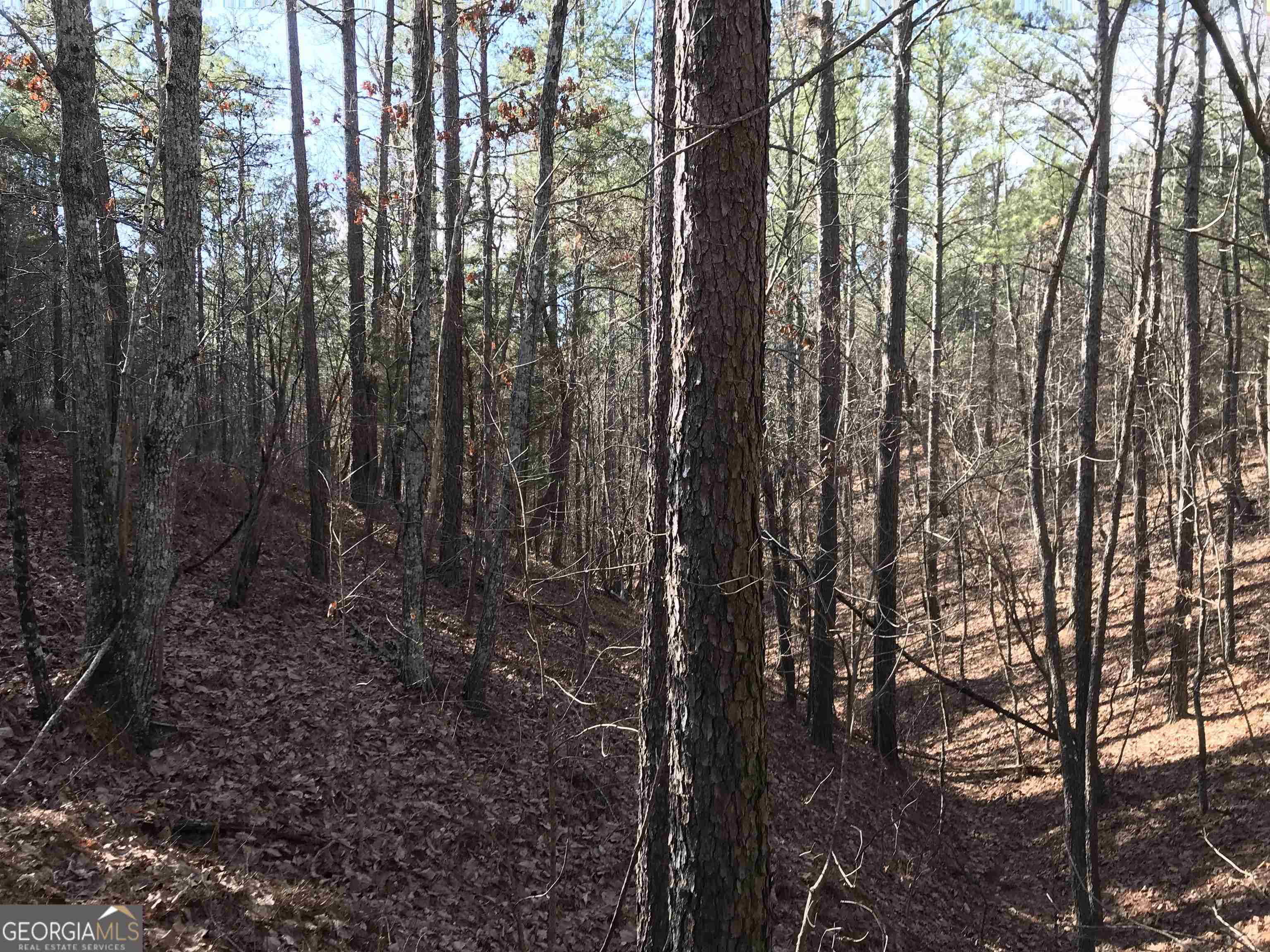0 Liberty Church Road, Unit 9615 Ranger, GA 30734 - Photo 28 of 35 a view of a yard with lots of trees