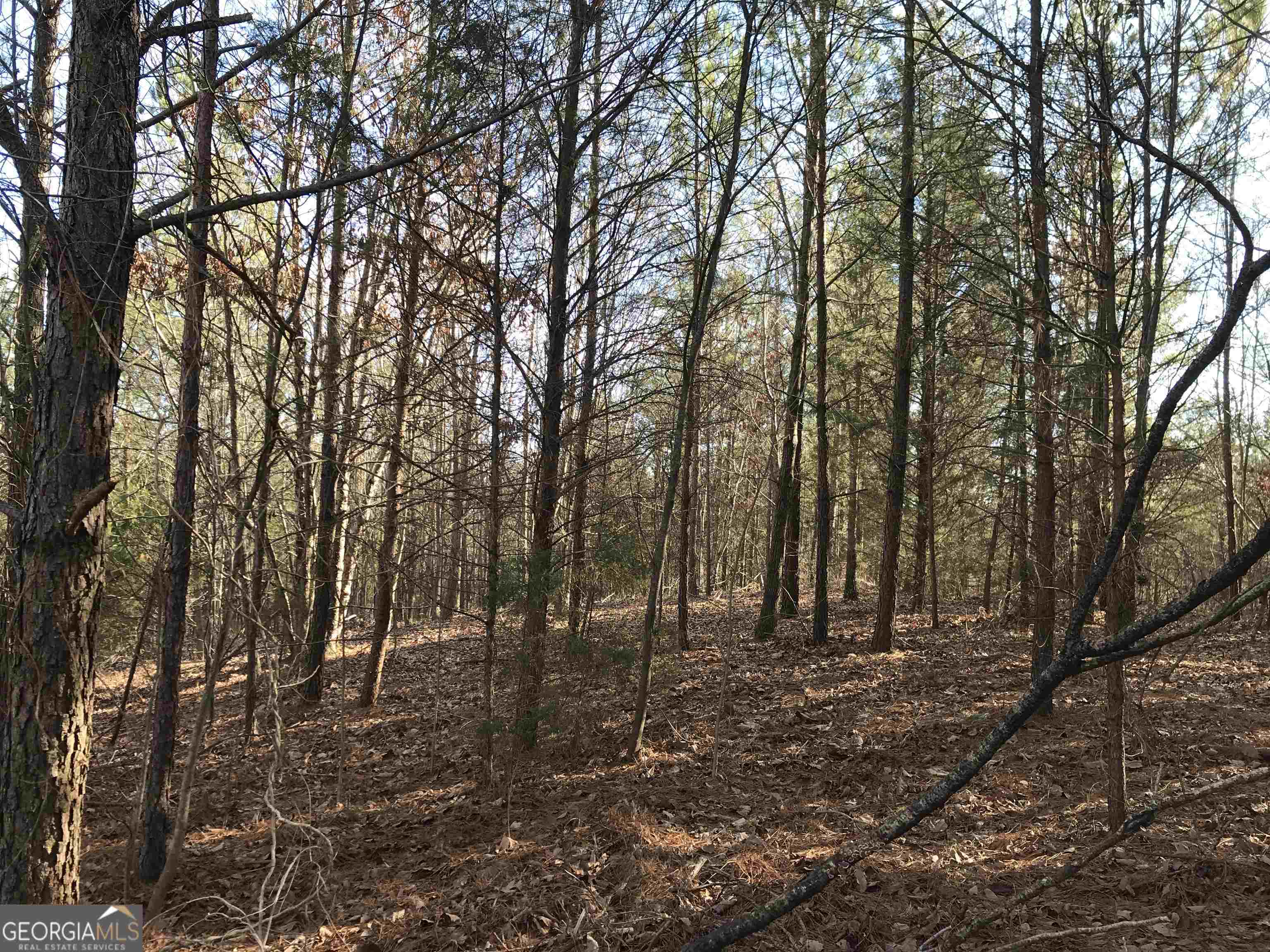 0 Liberty Church Road, Unit 9615 Ranger, GA 30734 - Photo 32 of 35 a view of outdoor space with lots of trees