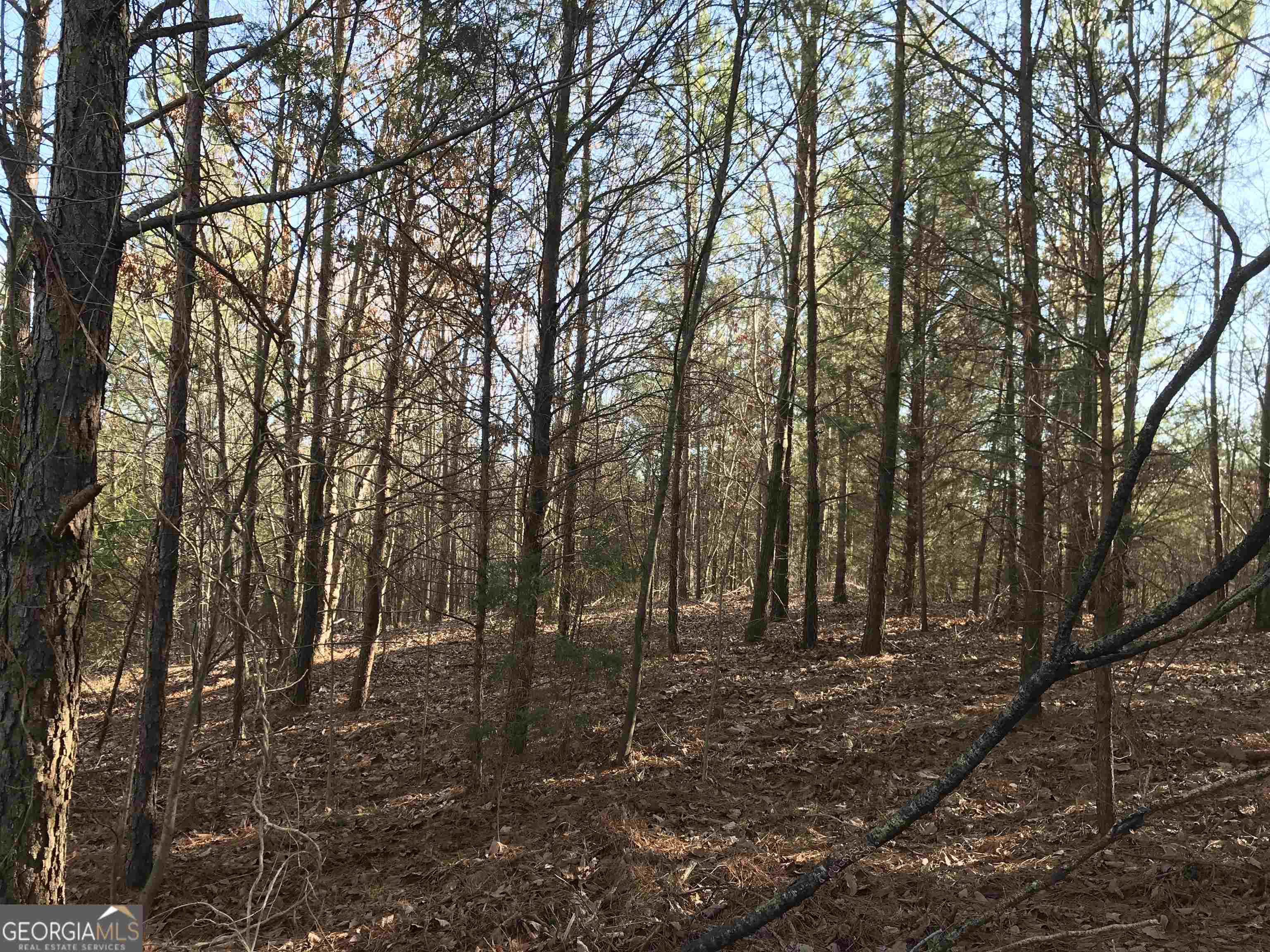 0 Liberty Church Road, Unit 9615 Ranger, GA 30734 - Photo 33 of 35 a view of outdoor space with lots of trees