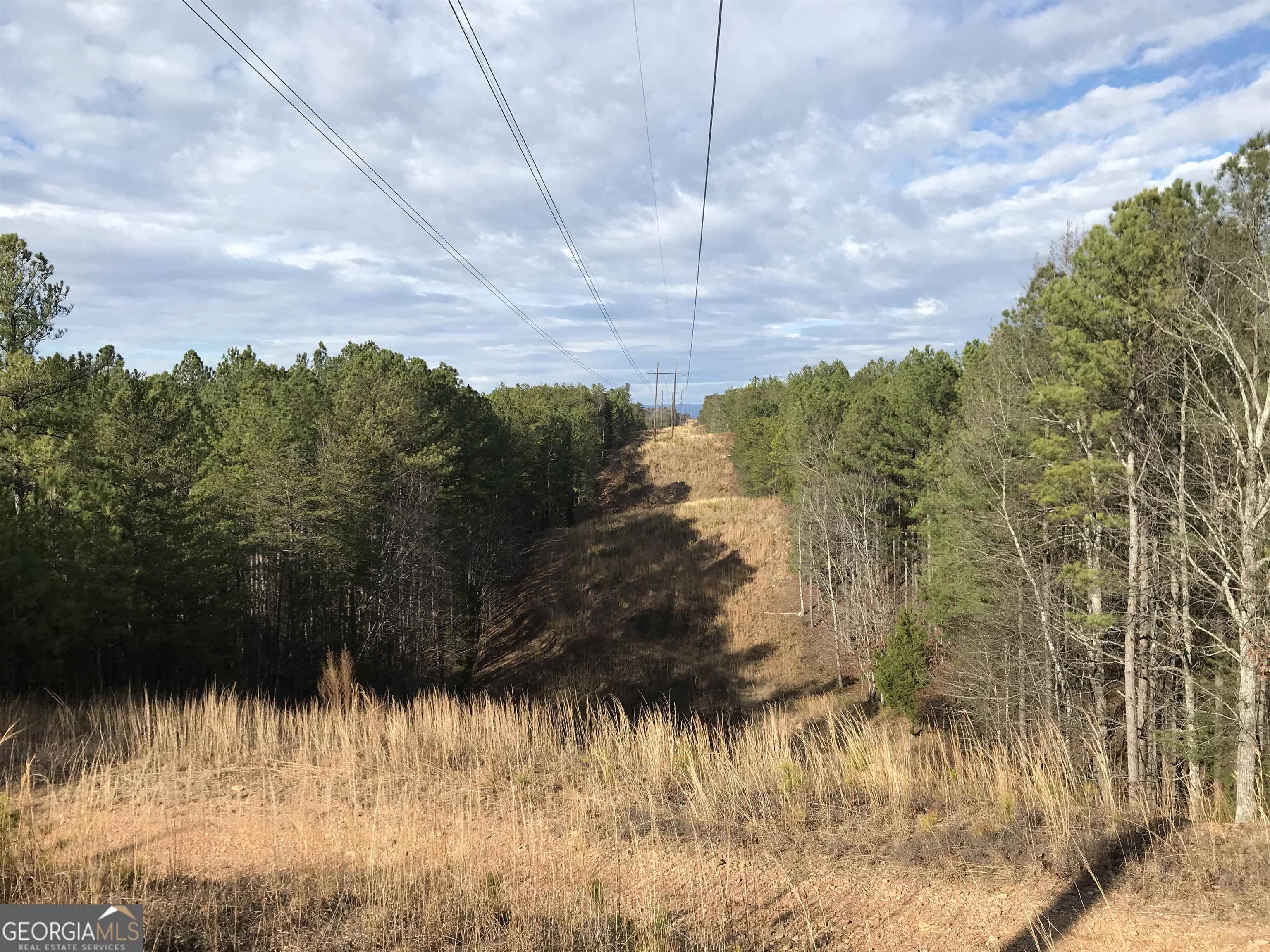 0 Liberty Church Road, Unit 9615 Ranger, GA 30734 - Photo 34 of 35 a view of a yard next to a yard