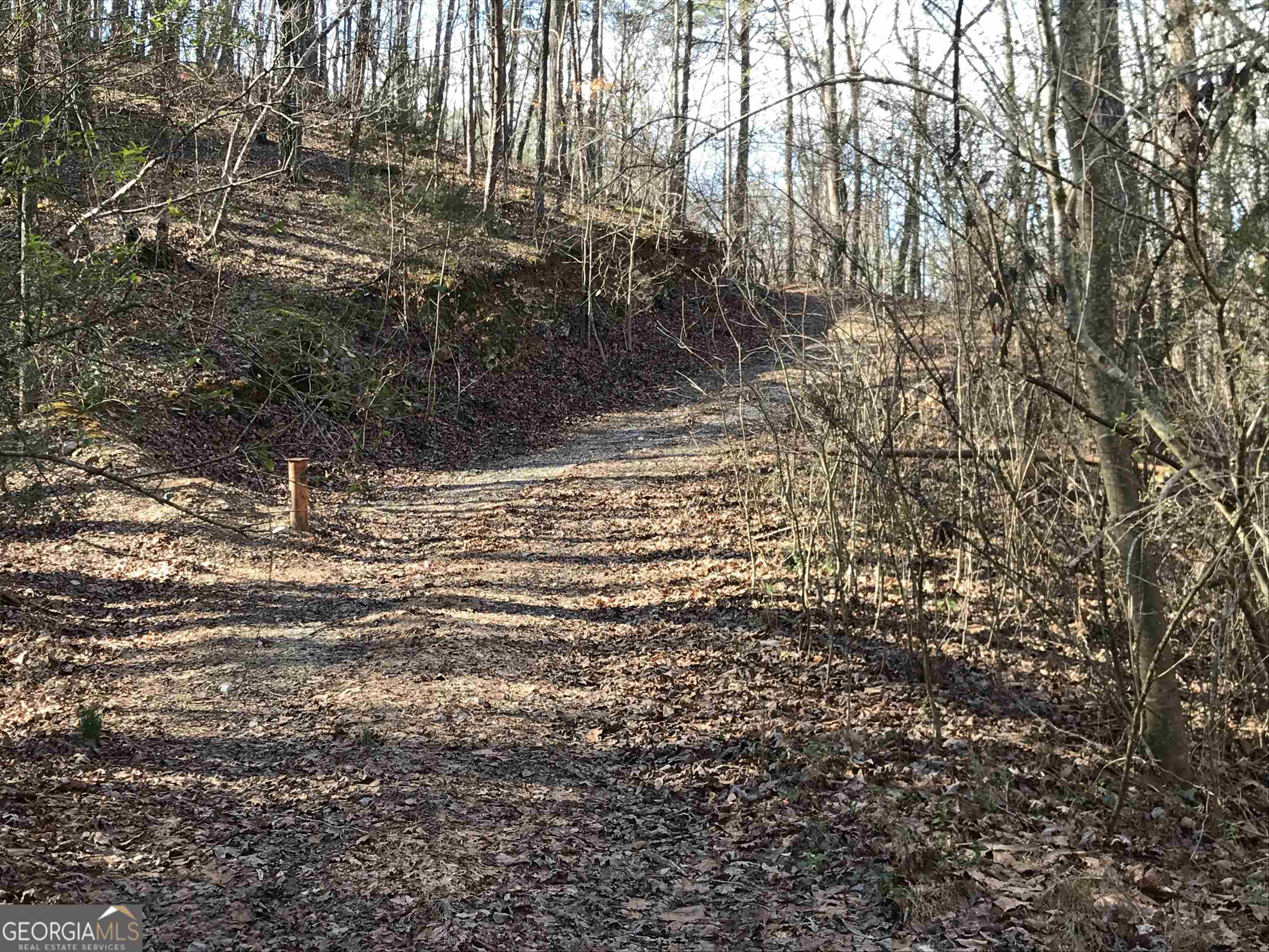 0 Liberty Church Road, Unit 9615 Ranger, GA 30734 - Photo 5 of 35 a view of outdoor space and a yard
