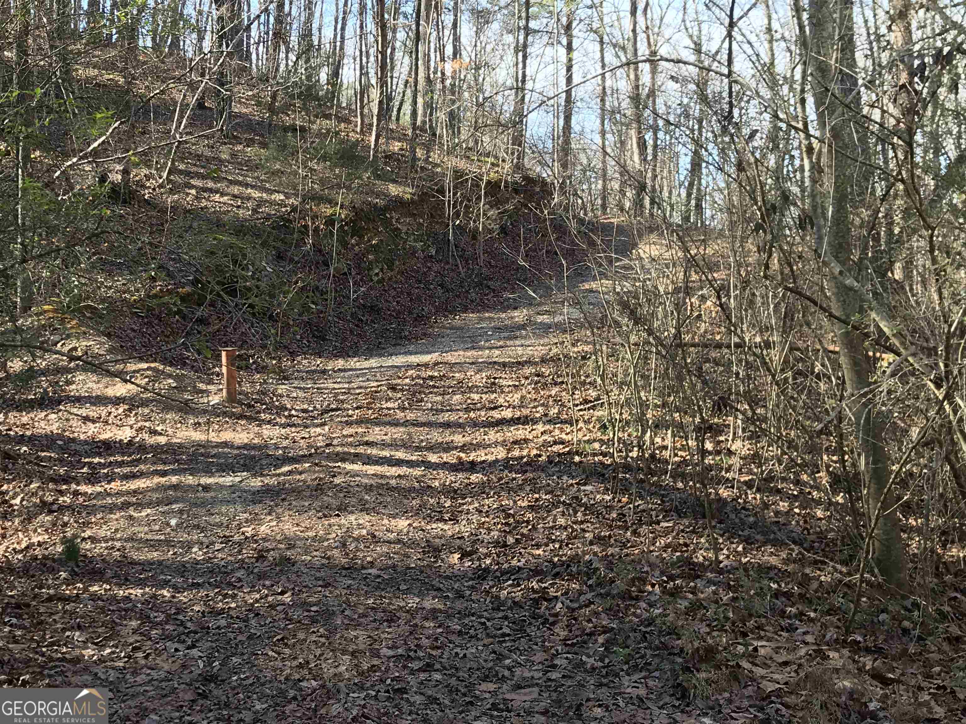 0 Liberty Church Road, Unit 9615 Ranger, GA 30734 - Photo 6 of 35 a view of water from a yard