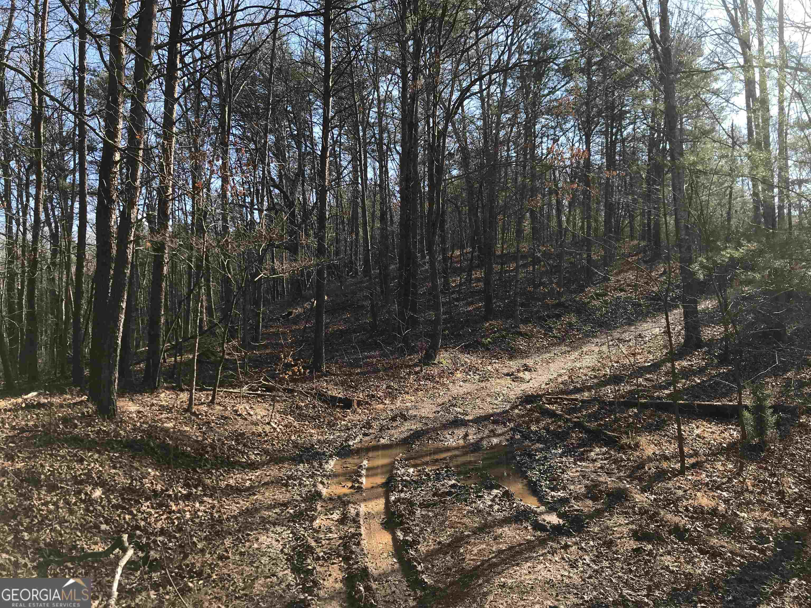0 Liberty Church Road, Unit 9615 Ranger, GA 30734 - Photo 7 of 35 a view of outdoor space with trees