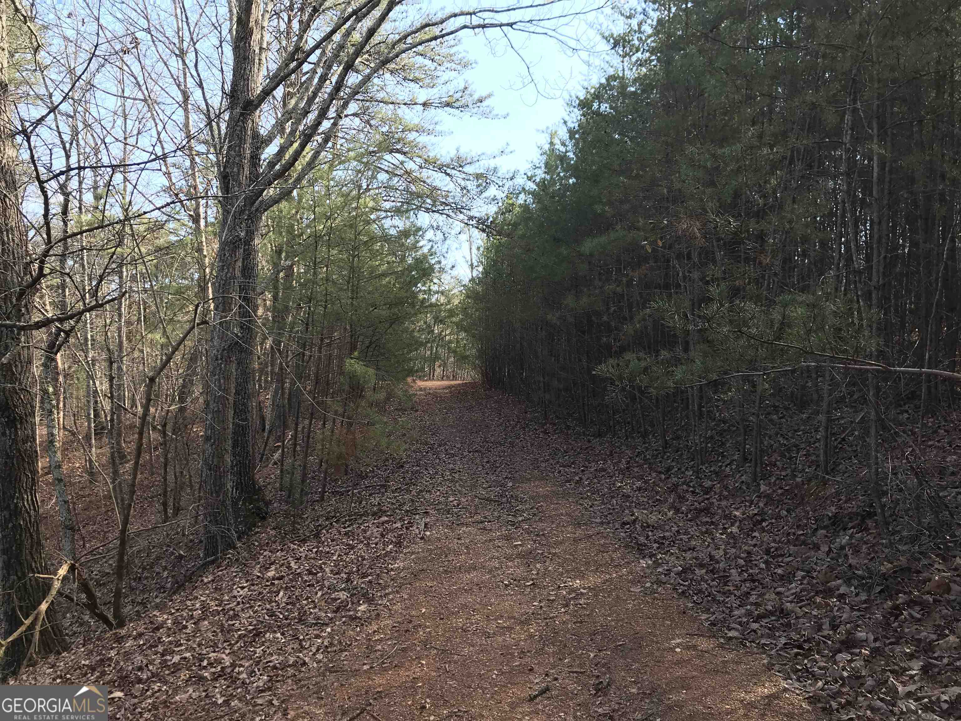 0 Liberty Church Road, Unit 9615 Ranger, GA 30734 - Photo 9 of 35 a view of a forest with trees in the background