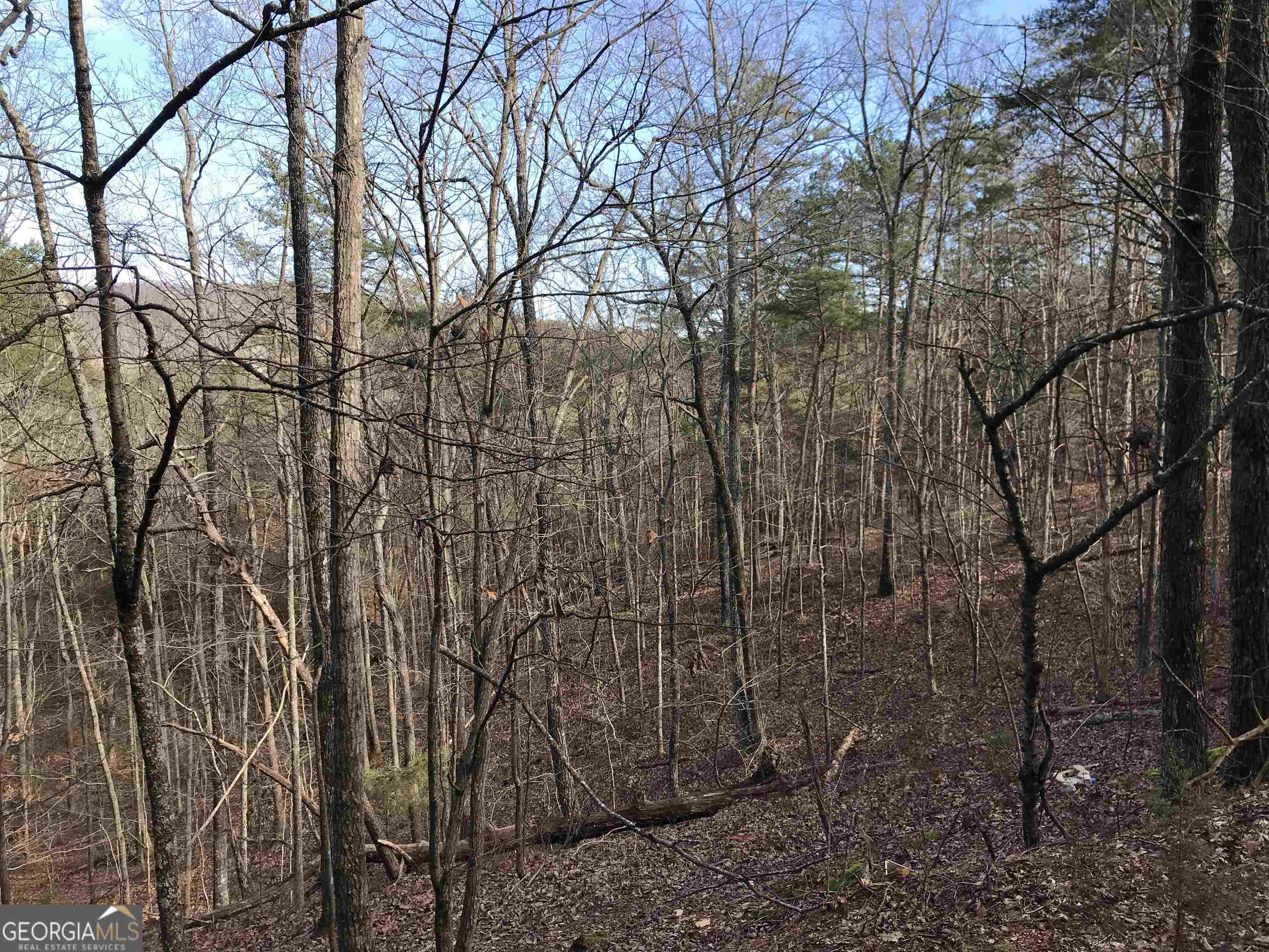 0 Liberty Church Road, Unit 9615 Ranger, GA 30734 - Photo 10 of 35 a backyard of a house with lots of green space