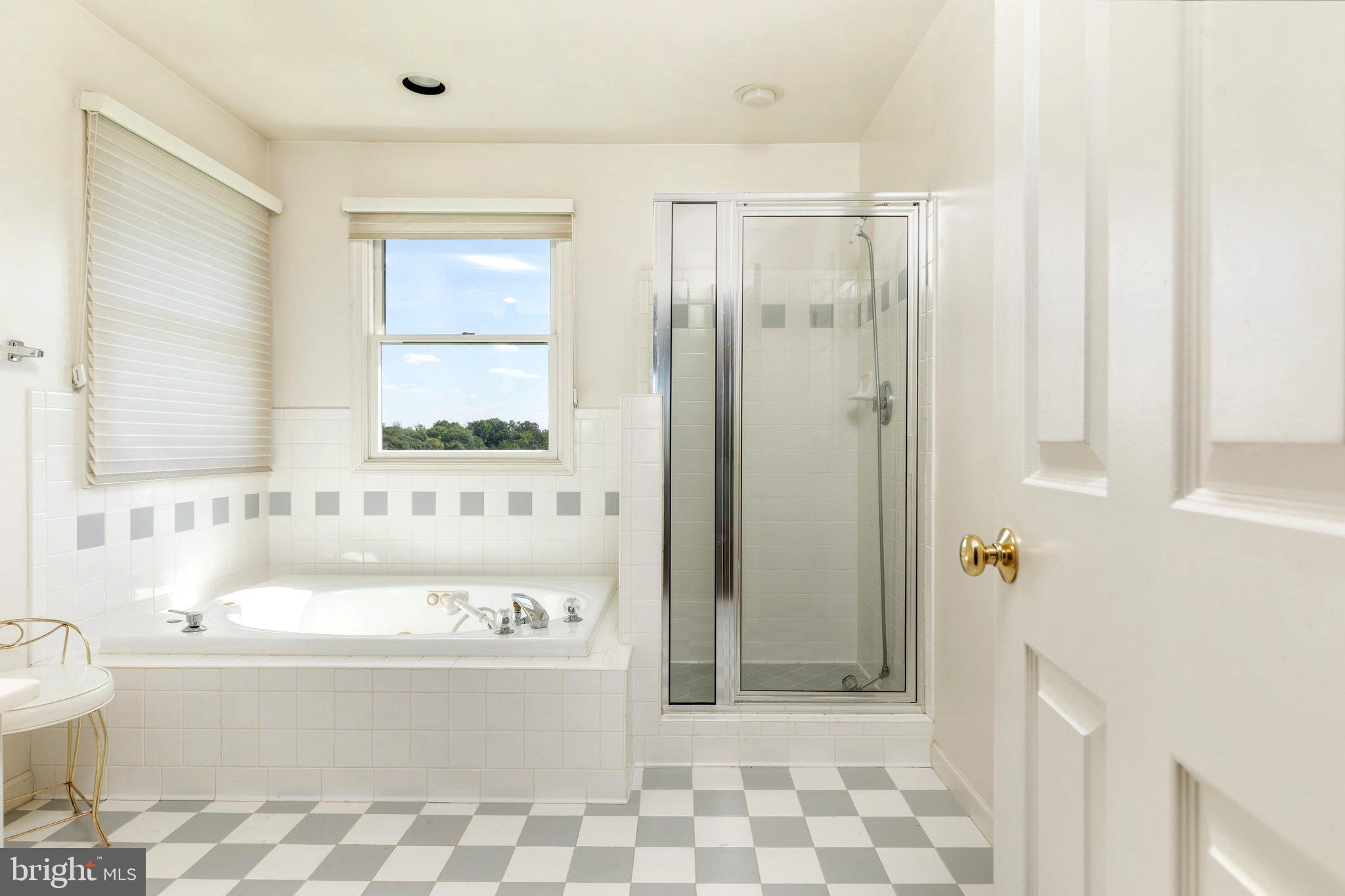 10431 Pineview Road Manassas, VA 20111 - Photo 24 of 51 Master bath w/jetted tub and separate shower