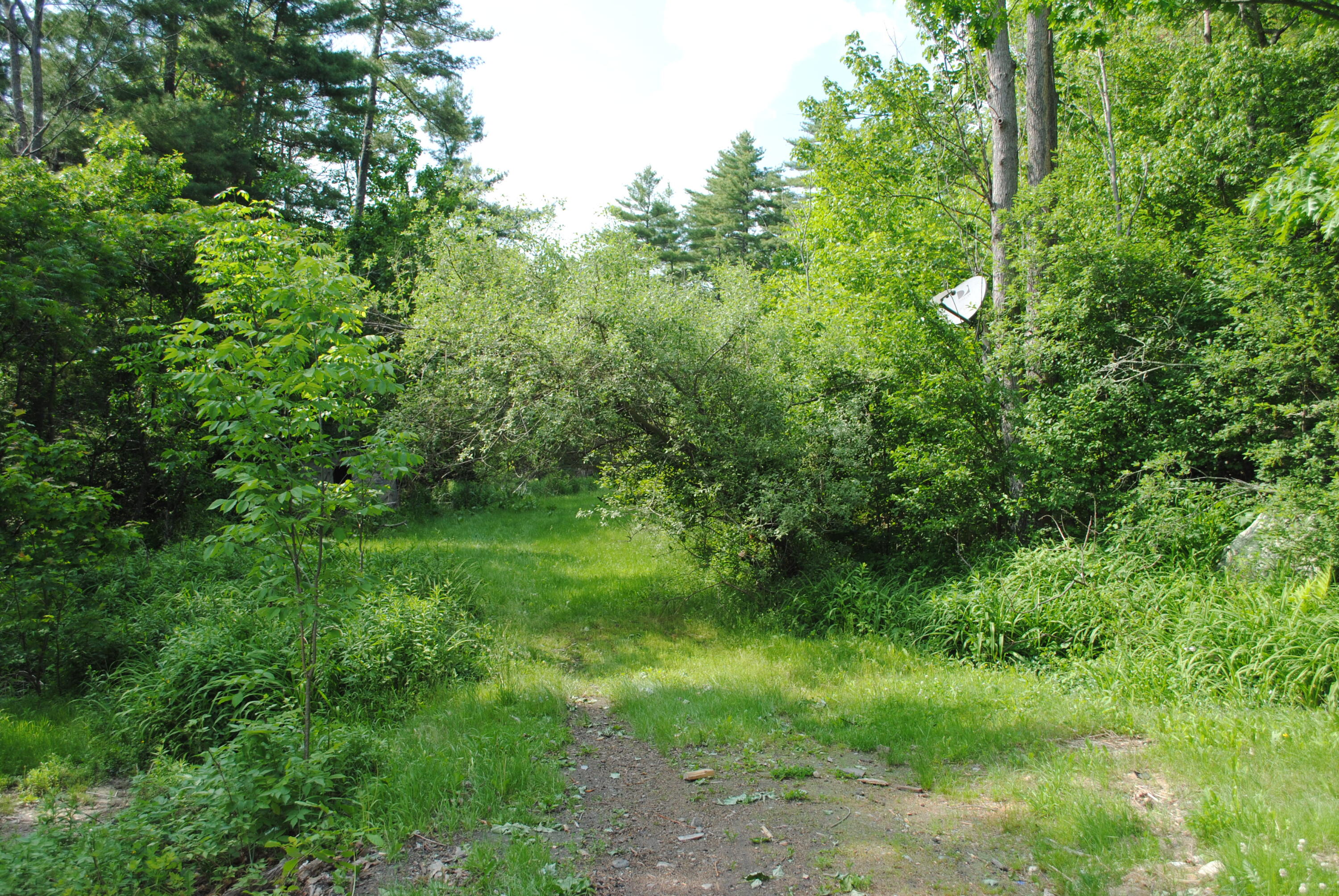 343 Sunset Road Sanford, ME 04083 - Photo 4 of 14 DSC_0004