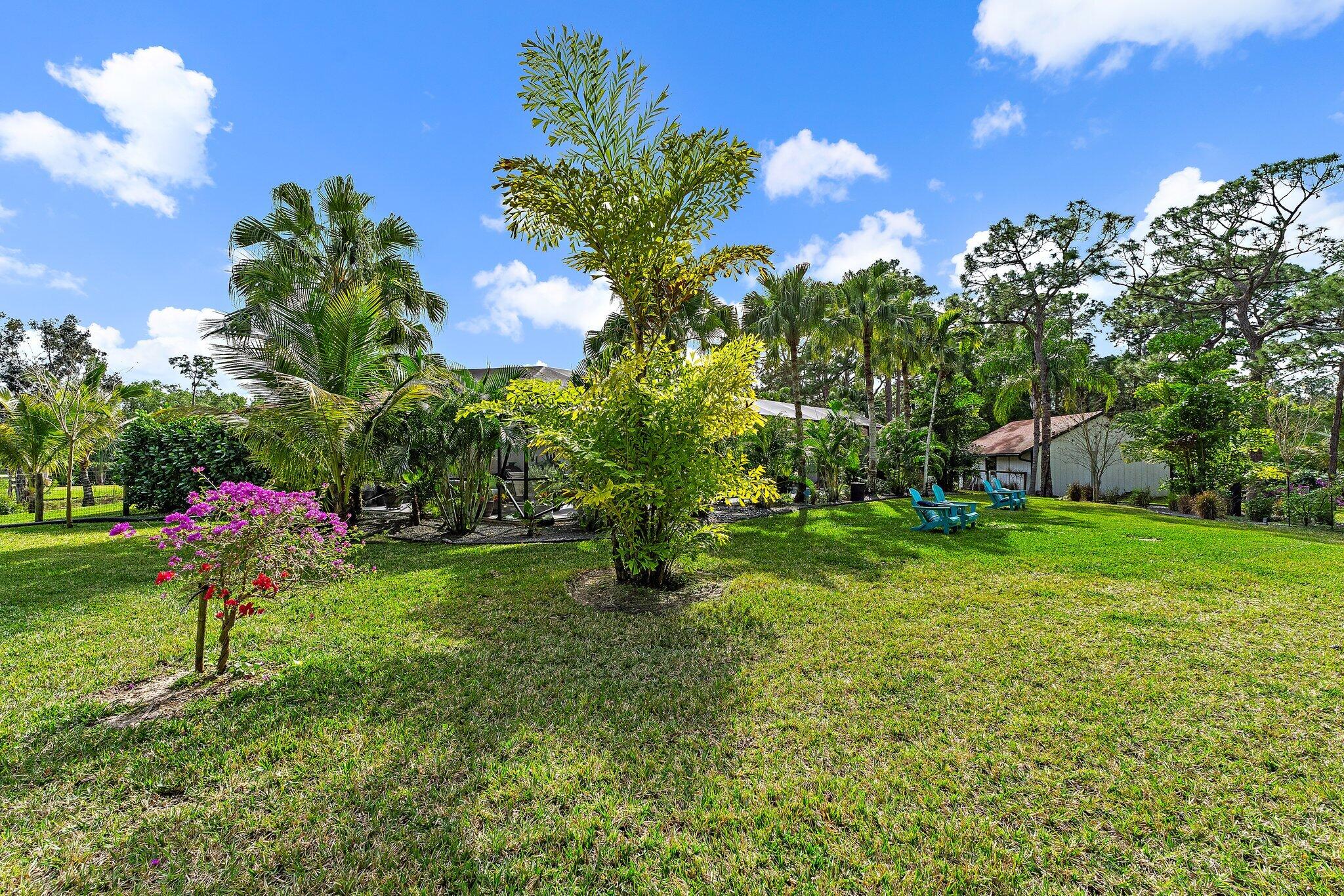 11845 165th Road North Jupiter, FL 33478 - Photo 66 of 68 a view of a flower in a yard