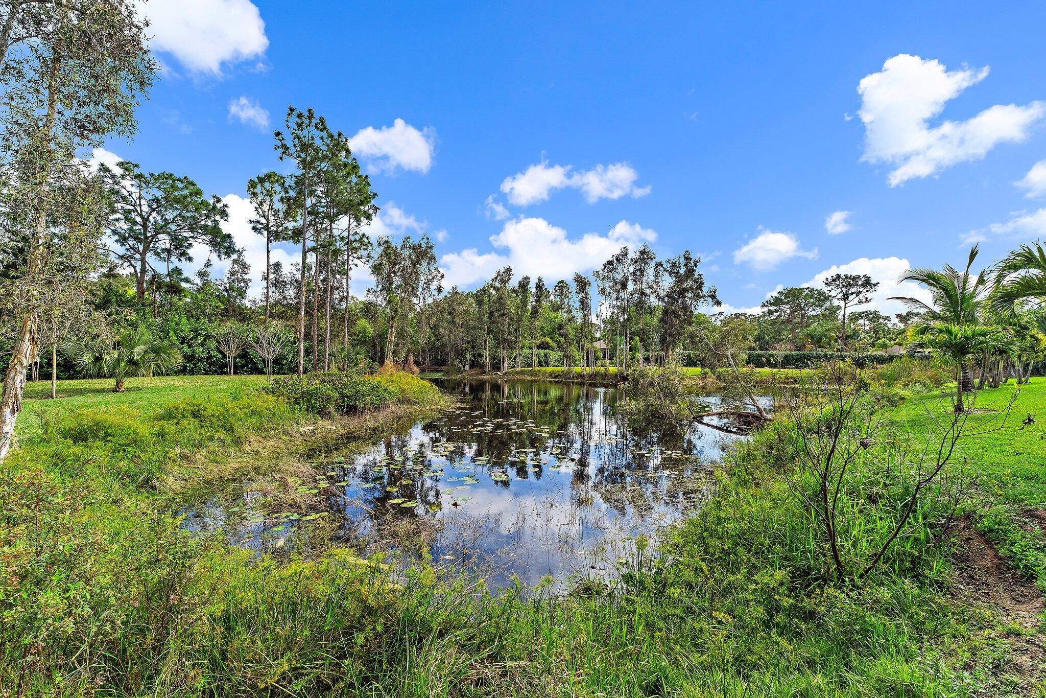 11845 165th Road North Jupiter, FL 33478 - Photo 68 of 68 a view of a lake with a yard