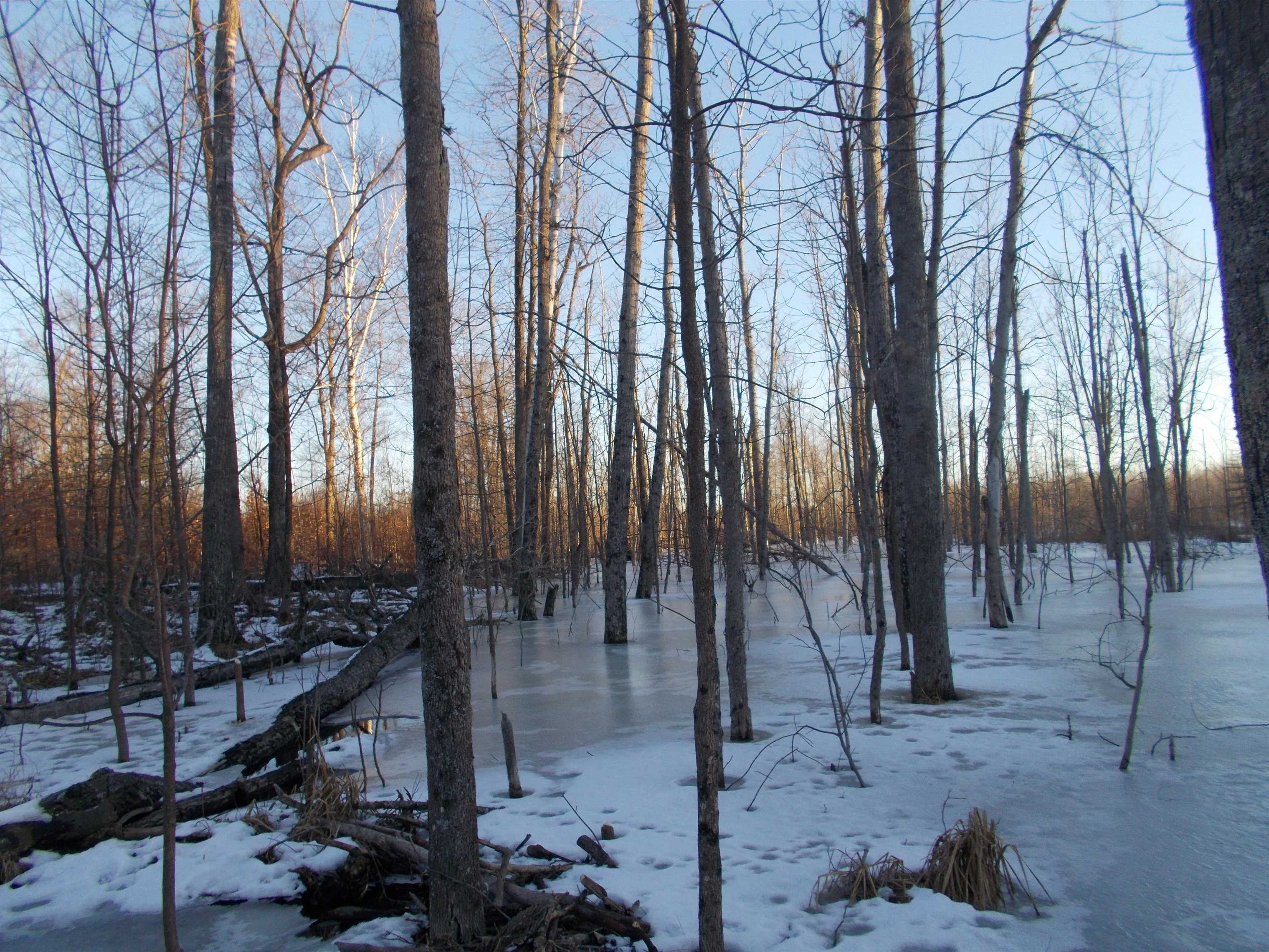 0 East County Line Road Whittemore, MI 48770 - Photo 14 of 22