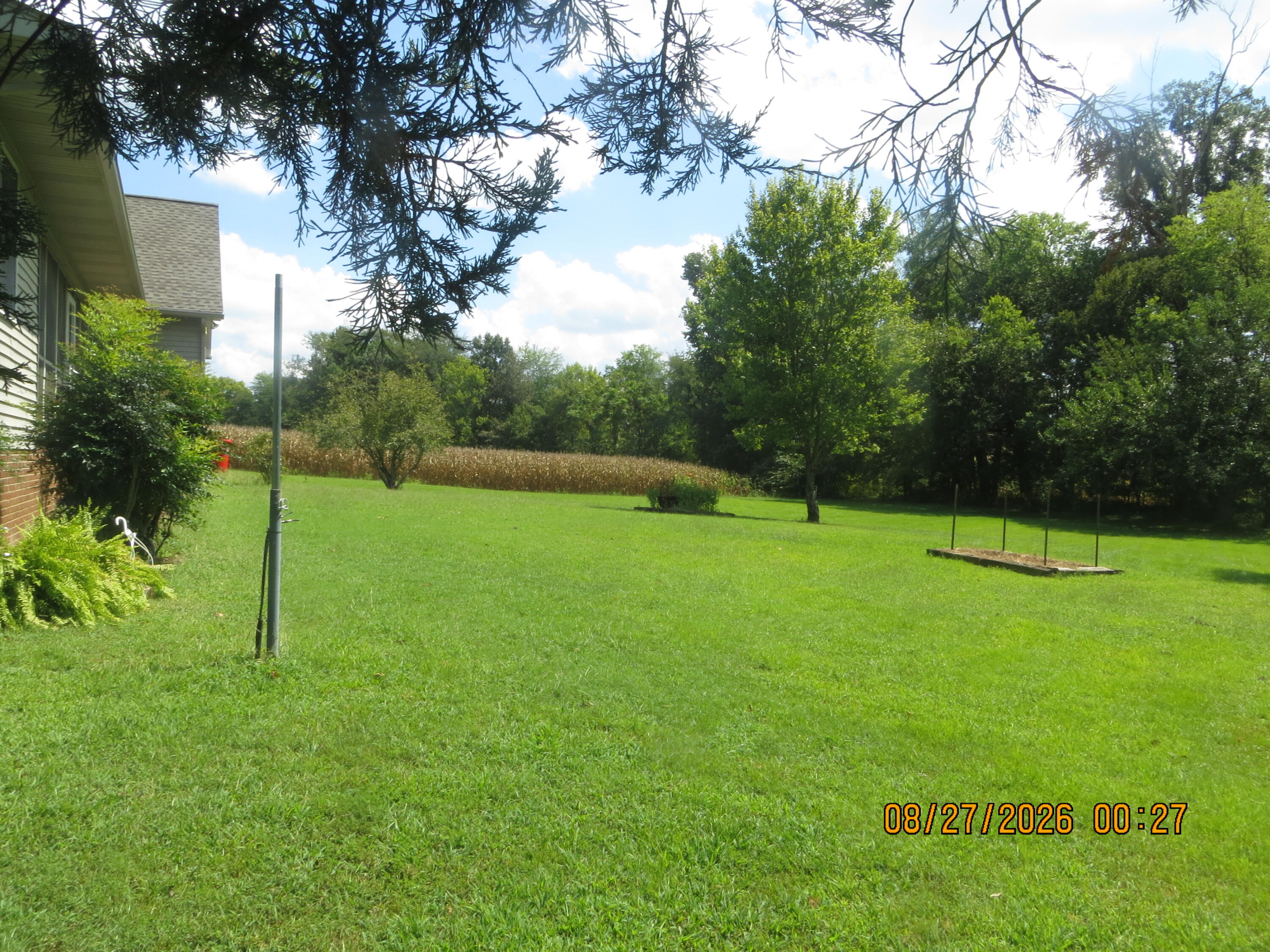 600 East Blanks Road Wickliffe, KY 42087 - Photo 25 of 67 Back yard