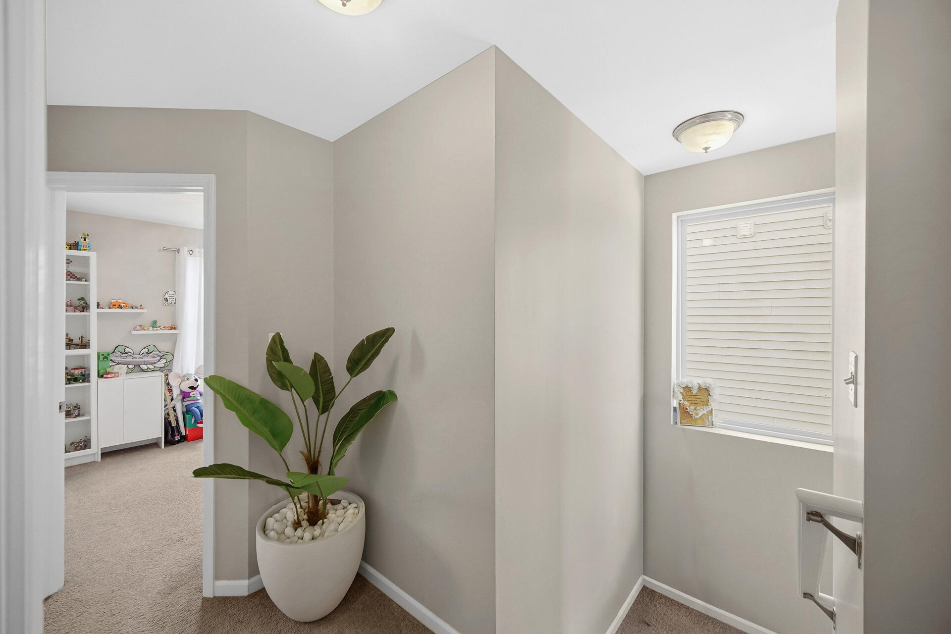 12728 Ellsworth Street Crown Point, IN 46307 - Photo 22 of 30 a potted plant sitting in a room next to a window