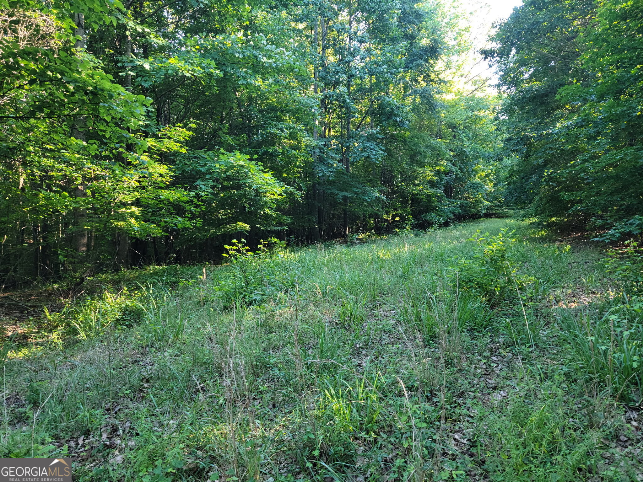833 Neal Gap Road Summerville, GA 30747 - Photo 82 of 86