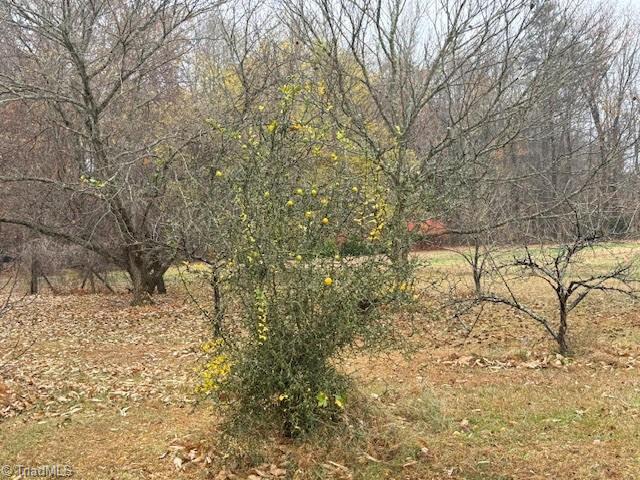 Lot 1 Joe Cobb Road Ruffin, NC 27326 - Photo 12 of 13