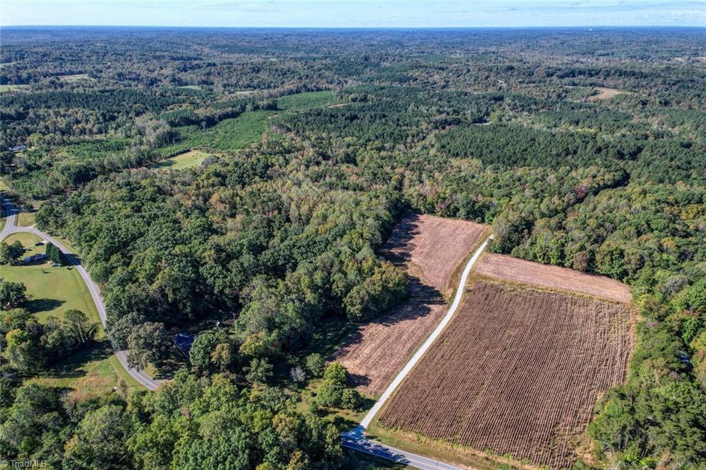 Lot 1 Joe Cobb Road Ruffin, NC 27326 - Photo 2 of 13