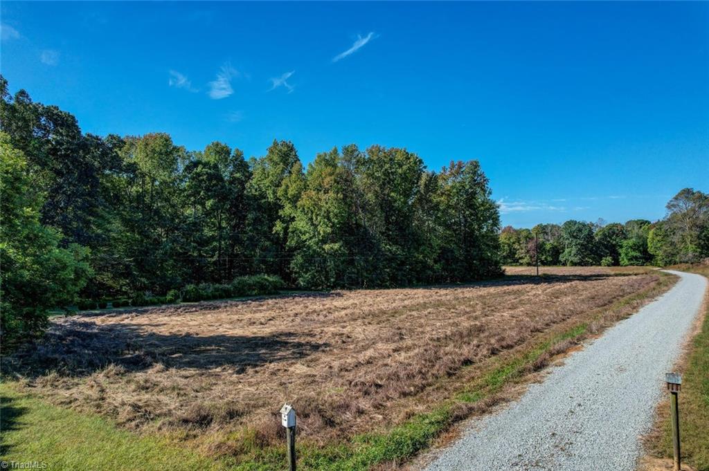 Lot 1 Joe Cobb Road Ruffin, NC 27326 - Photo 4 of 13