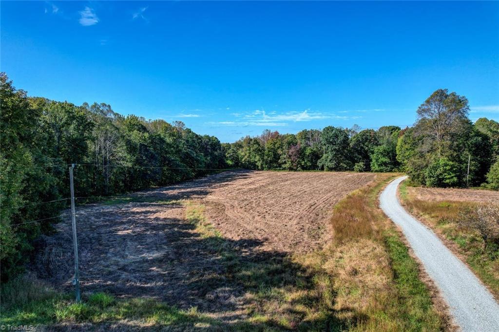 Lot 1 Joe Cobb Road Ruffin, NC 27326 - Photo 5 of 13
