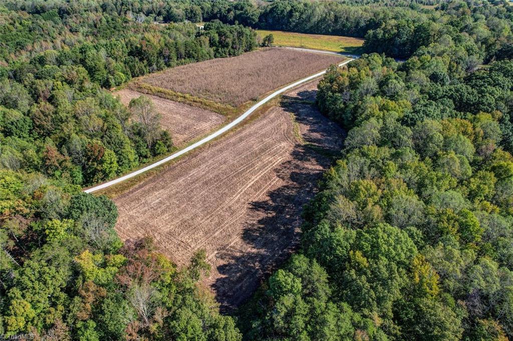 Lot 1 Joe Cobb Road Ruffin, NC 27326 - Photo 6 of 13