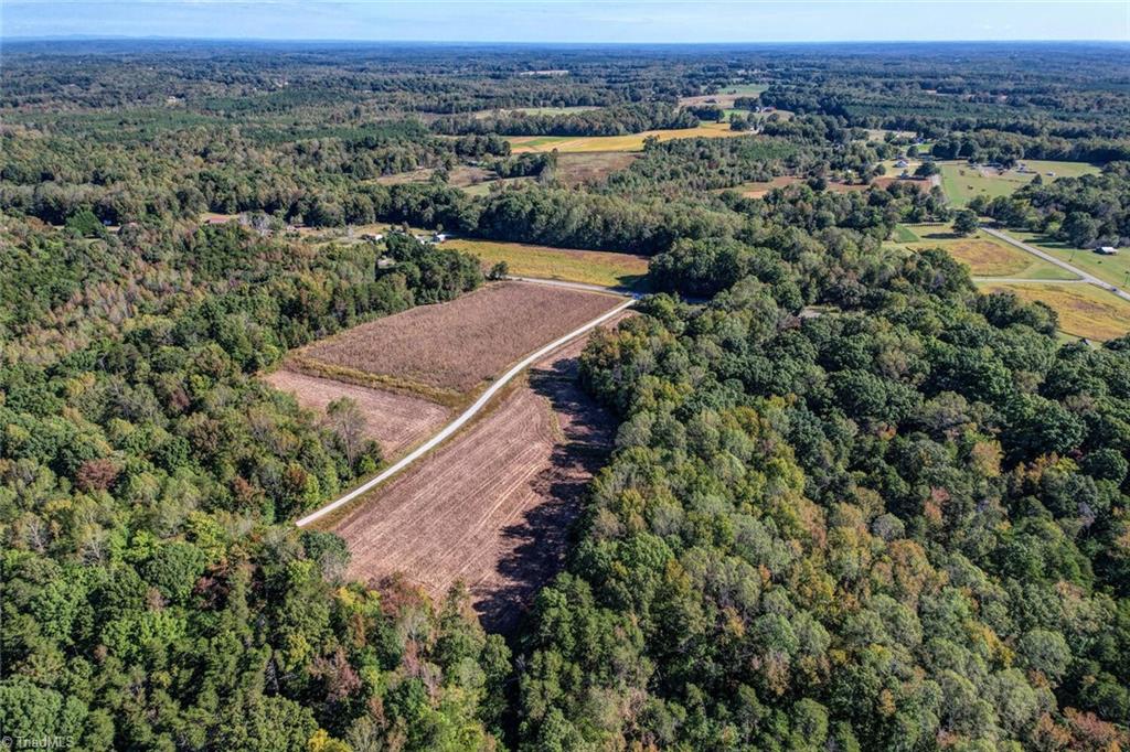 Lot 1 Joe Cobb Road Ruffin, NC 27326 - Photo 7 of 13