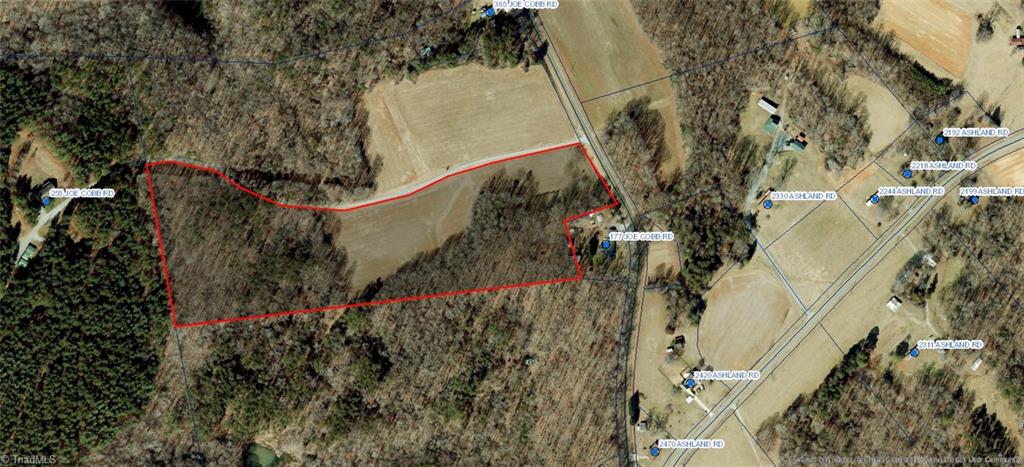 Lot 1 Joe Cobb Road Ruffin, NC 27326 - Photo 8 of 13