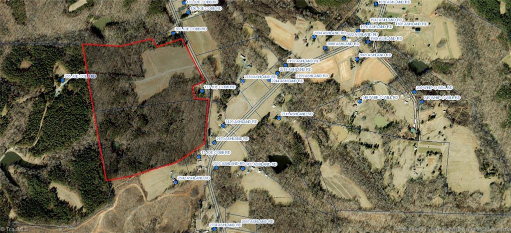 Lot 1 Joe Cobb Road Ruffin, NC 27326 - Photo 9 of 13