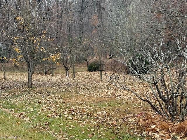 Lot 1 Joe Cobb Road Ruffin, NC 27326 - Photo 10 of 13