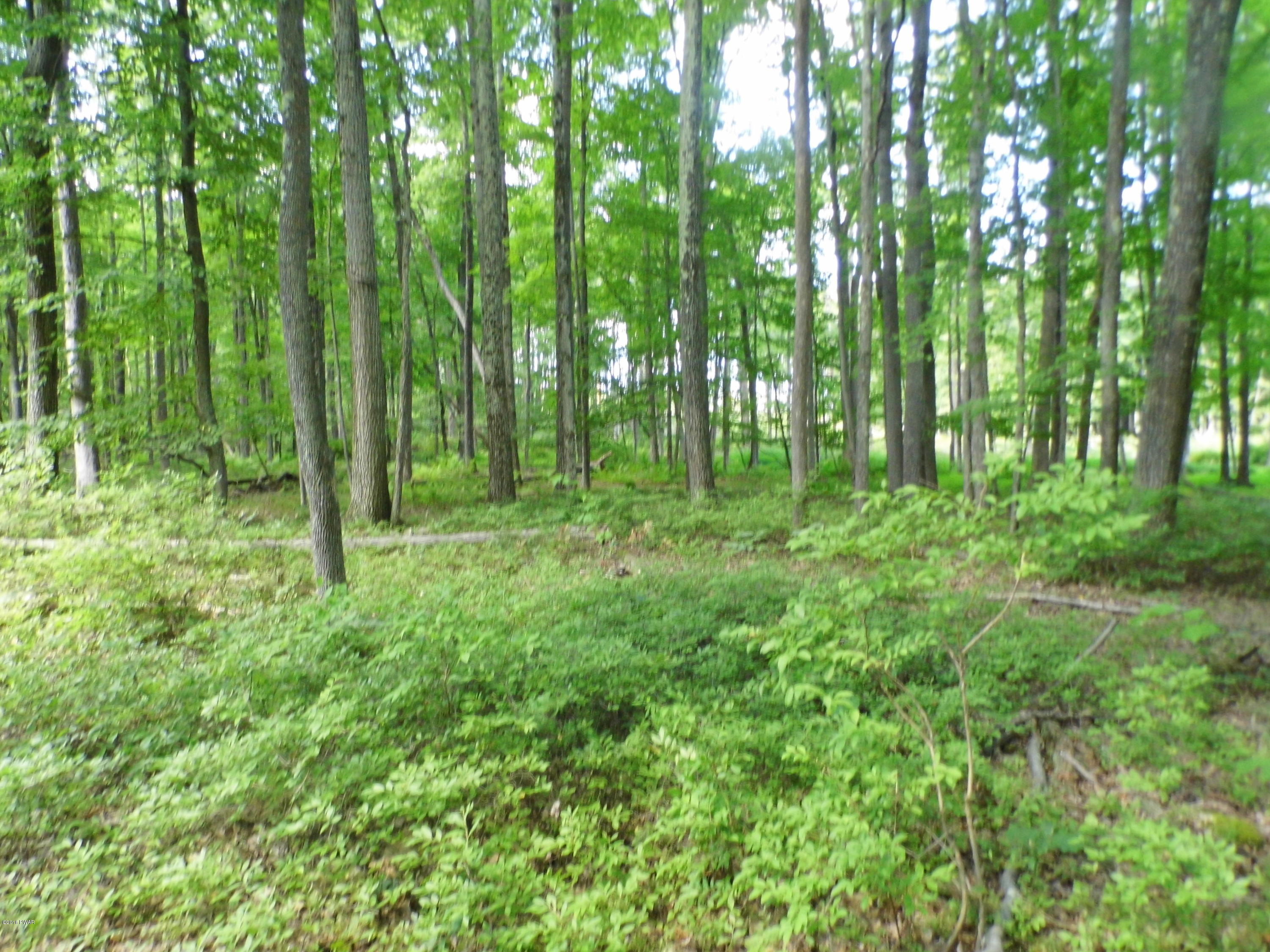 Hoadleys Road Hawley, PA 18428 - Photo 7 of 7