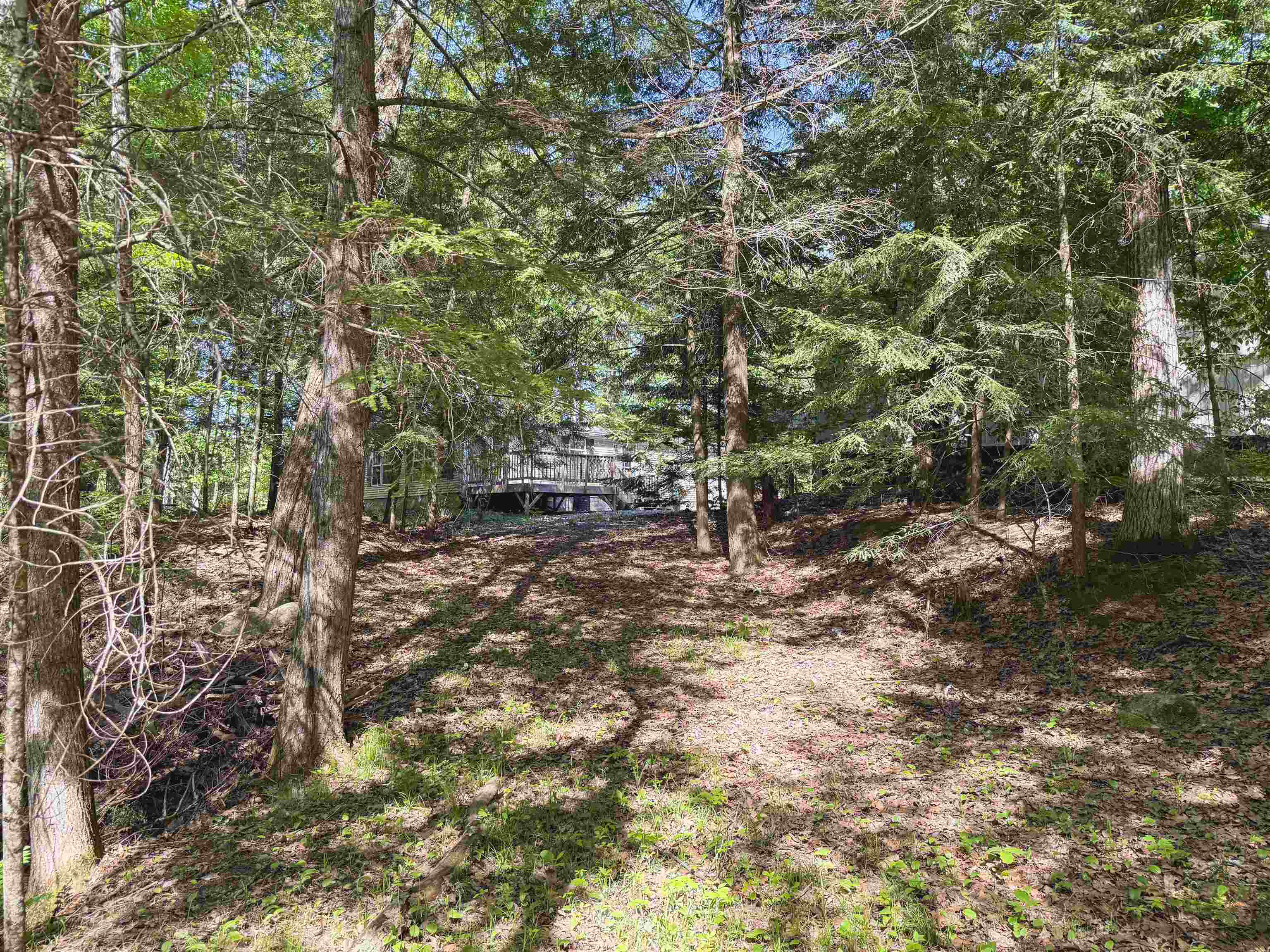 12323 Leo's Road Suring, WI 54174 - Photo 13 of 30