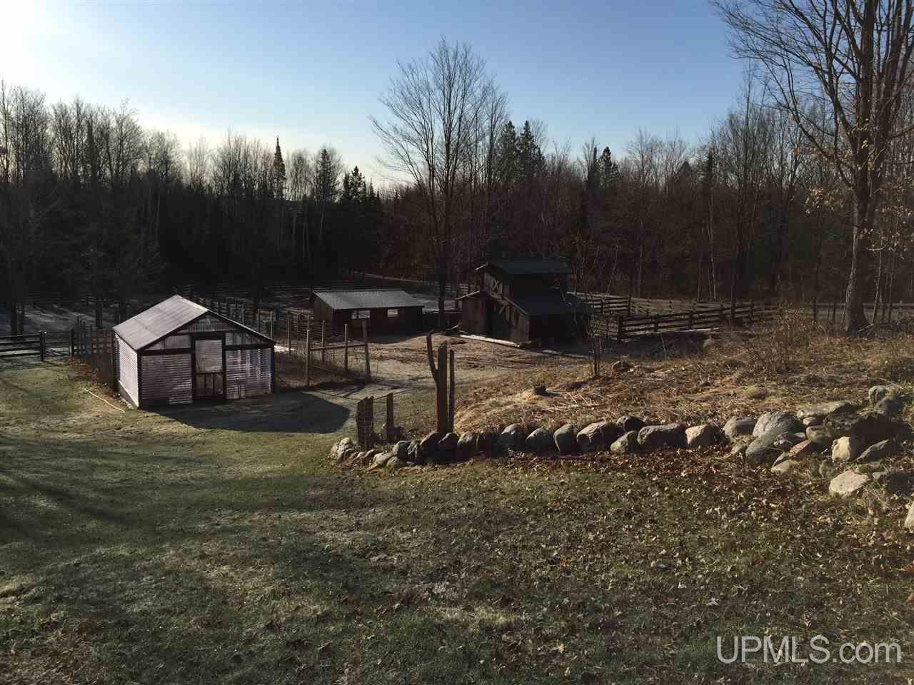 174 Section 6 Road Crystal Falls, MI 49920 - Photo 12 of 30