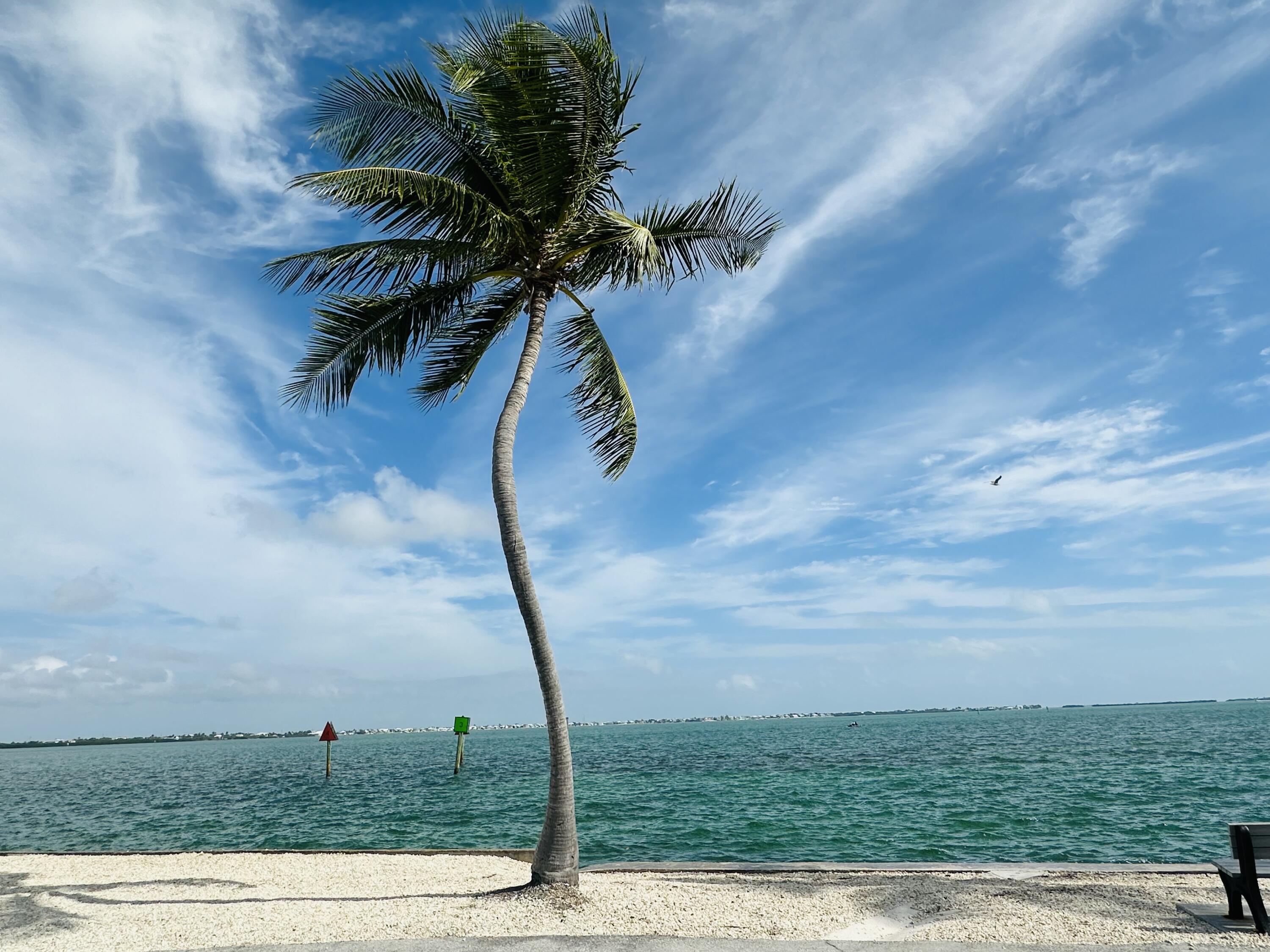 701 Spanish Main Drive, Unit 635 Cudjoe, FL 33042 - Photo 47 of 52 Kemp Channel