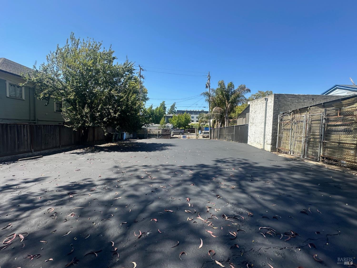 1050 Allston Way Berkeley, CA 94710 - Photo 8 of 20 a view of outdoor space with deck and tree