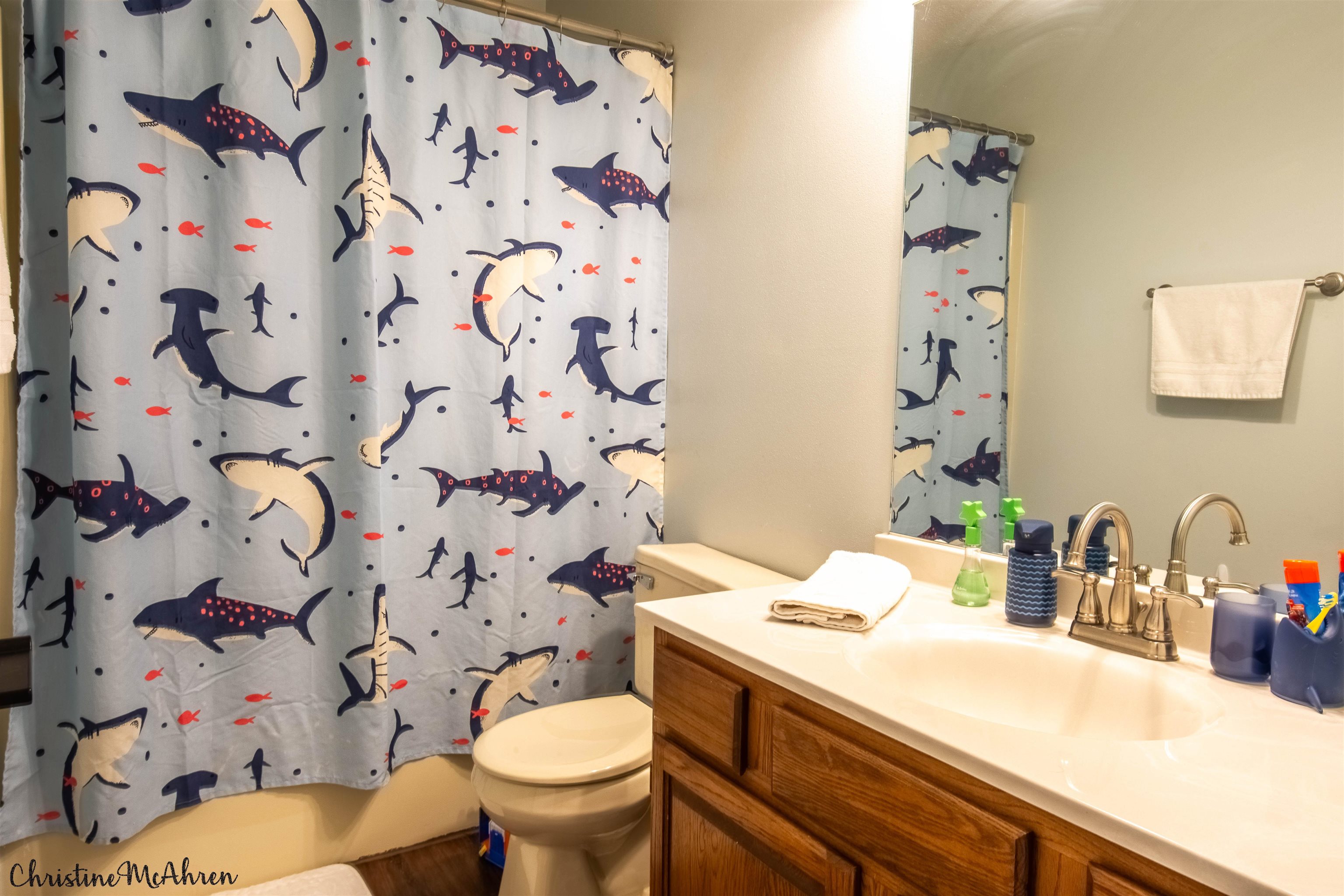 6410 Grassridge Road Rockford, IL 61108 - Photo 21 of 31 a bathroom with a sink toilet and shower curtain