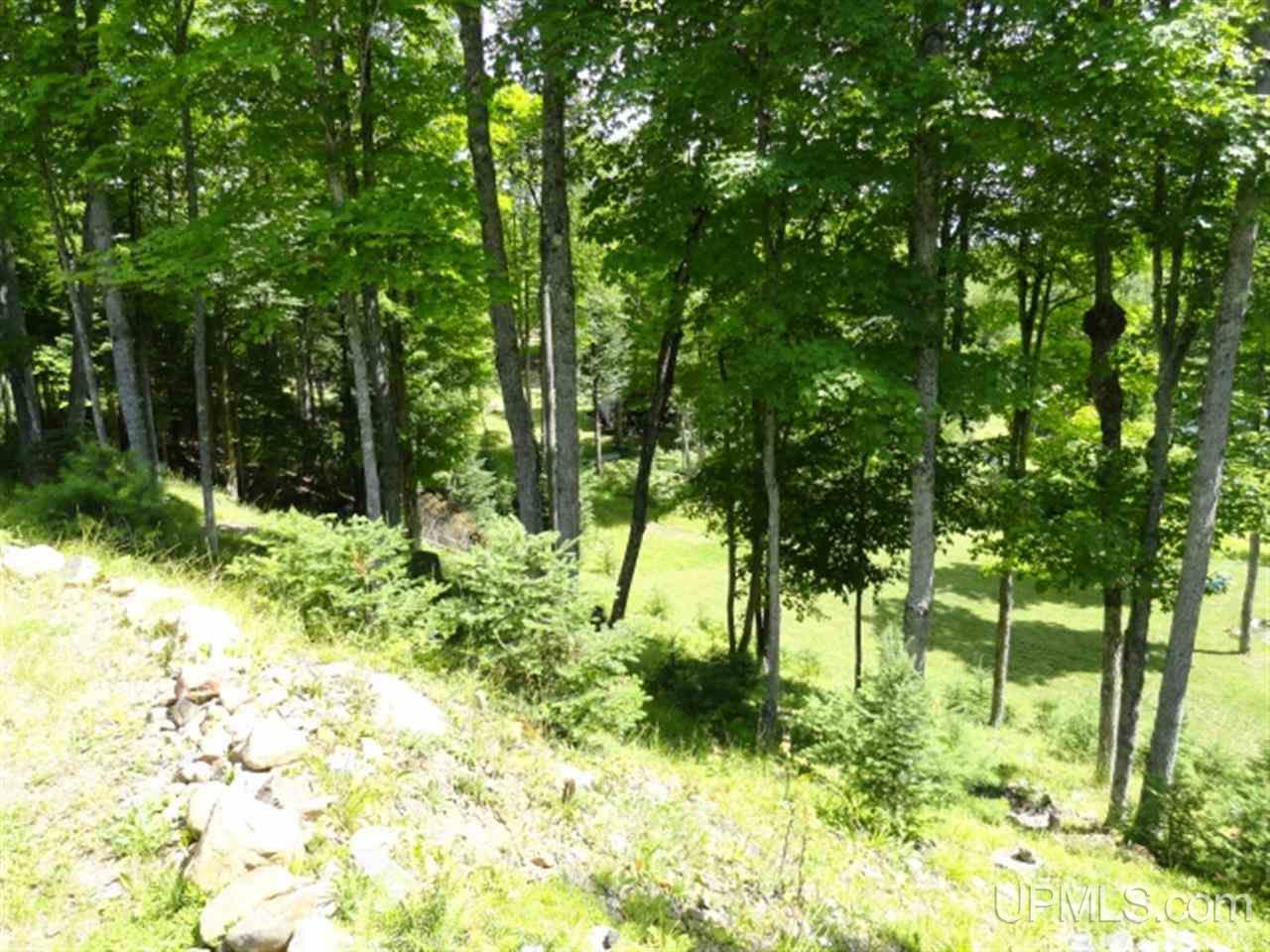 962 Gold Road, Unit 1 Michigamme, MI 49879 - Photo 18 of 29 Gallery Image 18
