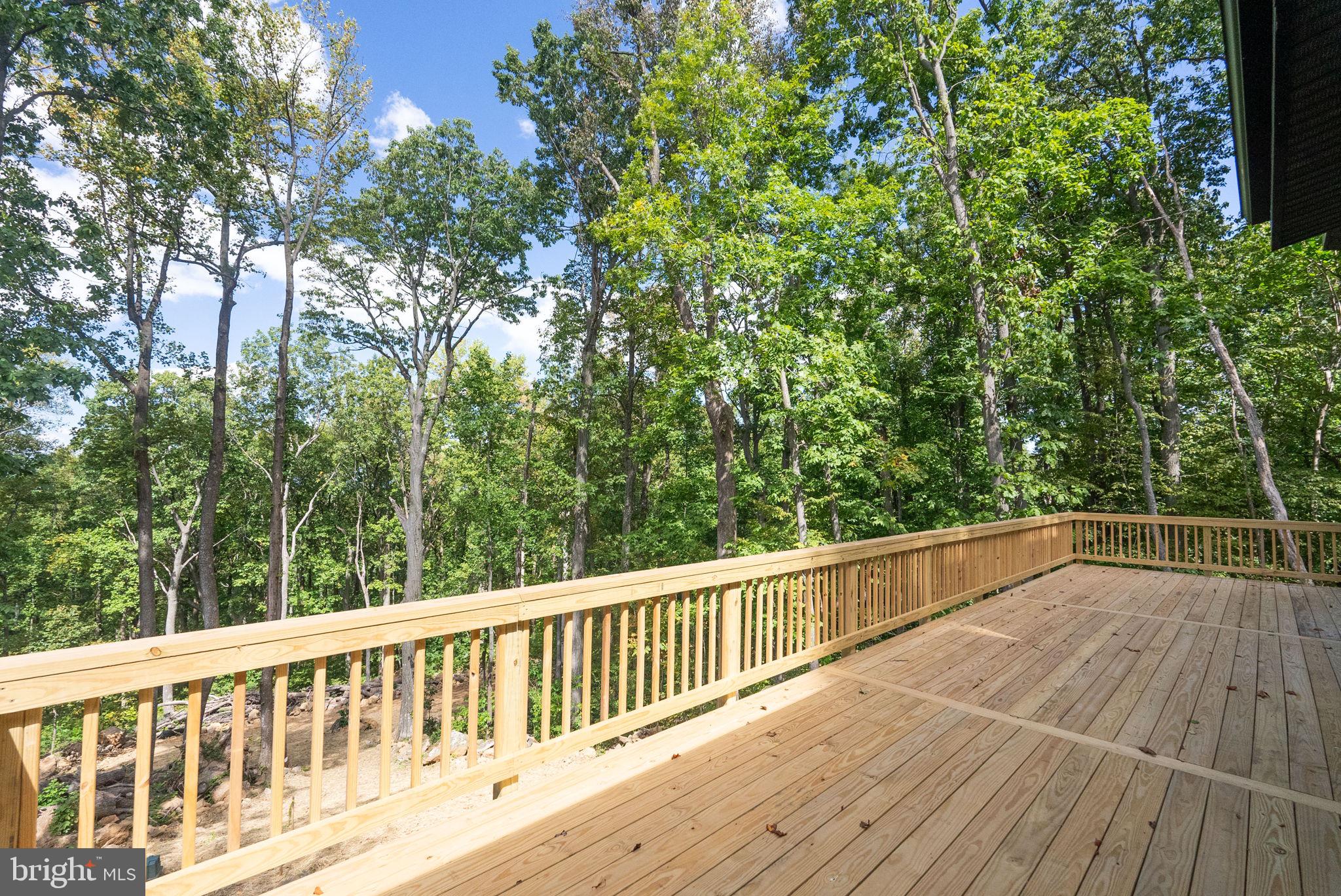 4769 Blue Mountain Road Linden, VA 22642 - Photo 28 of 36 a view of a balcony with wooden floor