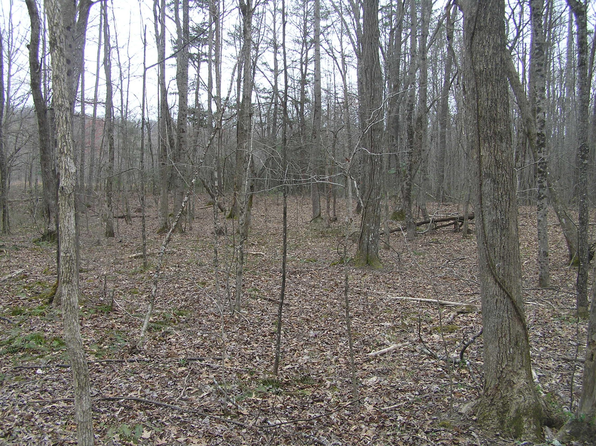 99 Prater Road Pikeville, TN 37367 - Photo 29 of 29 Gallery Image 29