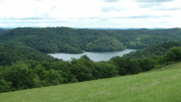 a view of a lush green forest with a house