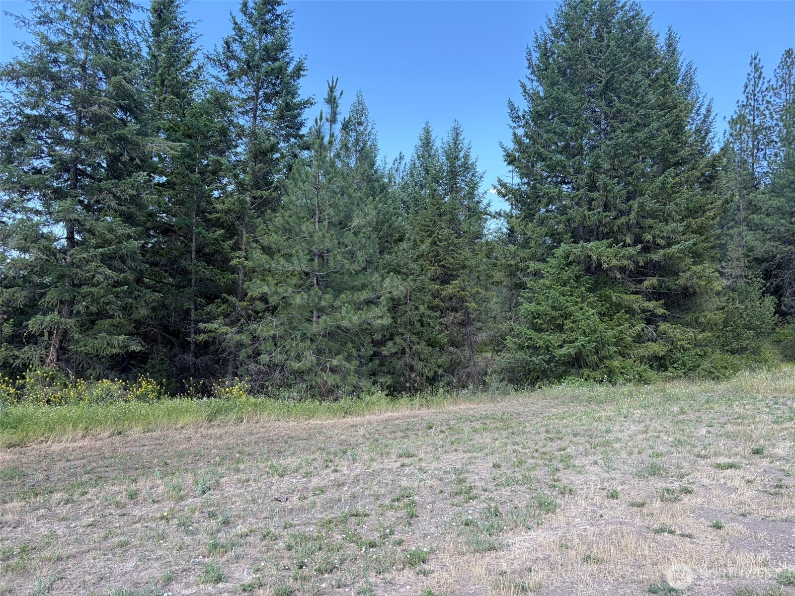 88 Little Bear Road Republic, WA 99166 - Photo 27 of 38