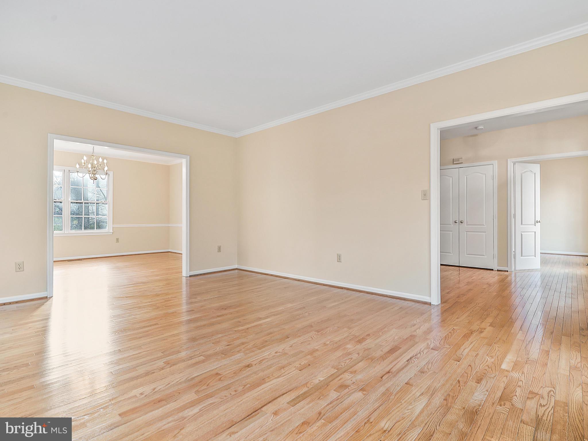 13119 Riviera Terrace Silver Spring, MD 20904 - Photo 9 of 57 Gallery Image 9