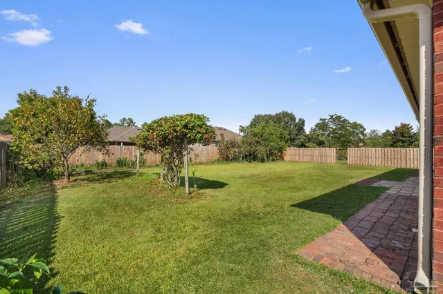 a view of backyard with tree
