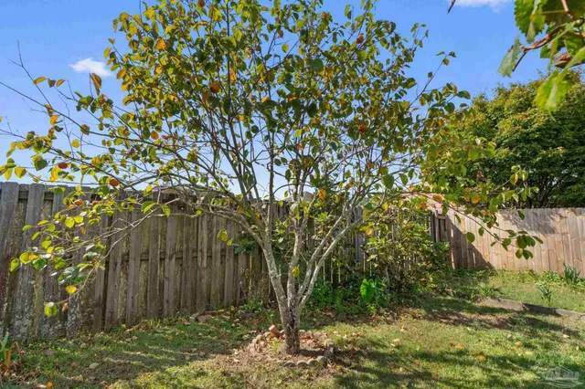 a big yard with lots of green space and deers