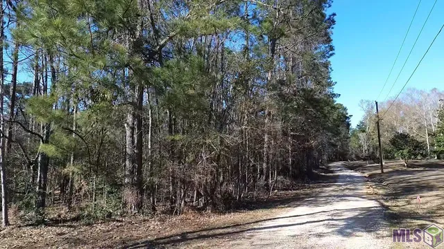 $36,500 | Tract C McClendon Lane, Amite, LA 70422