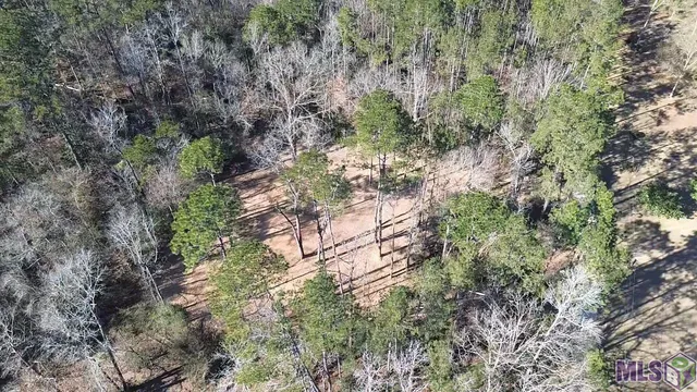 $36,500 | Tract C McClendon Lane, Amite, LA 70422