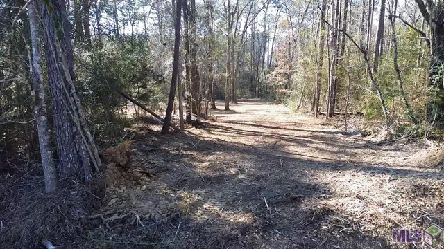 $36,500 | Tract C McClendon Lane, Amite, LA 70422