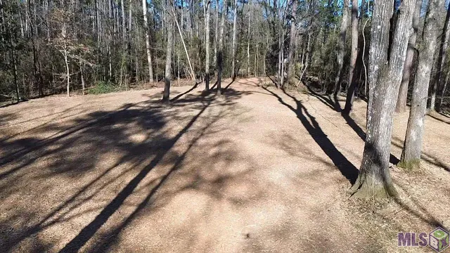 $36,500 | Tract C McClendon Lane, Amite, LA 70422
