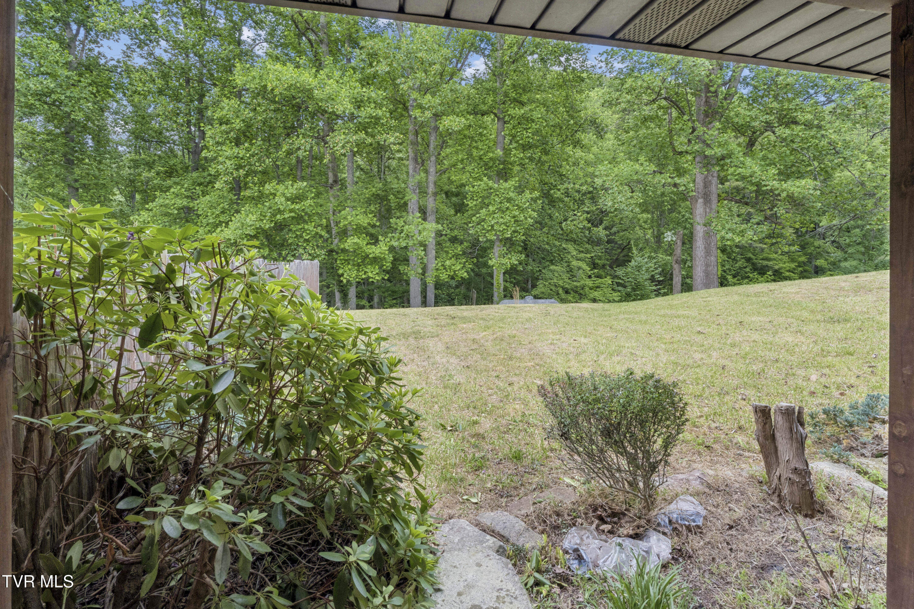128 Lum McIntosh Road Erwin, TN 37650 - Photo 21 of 106 LumMc--41