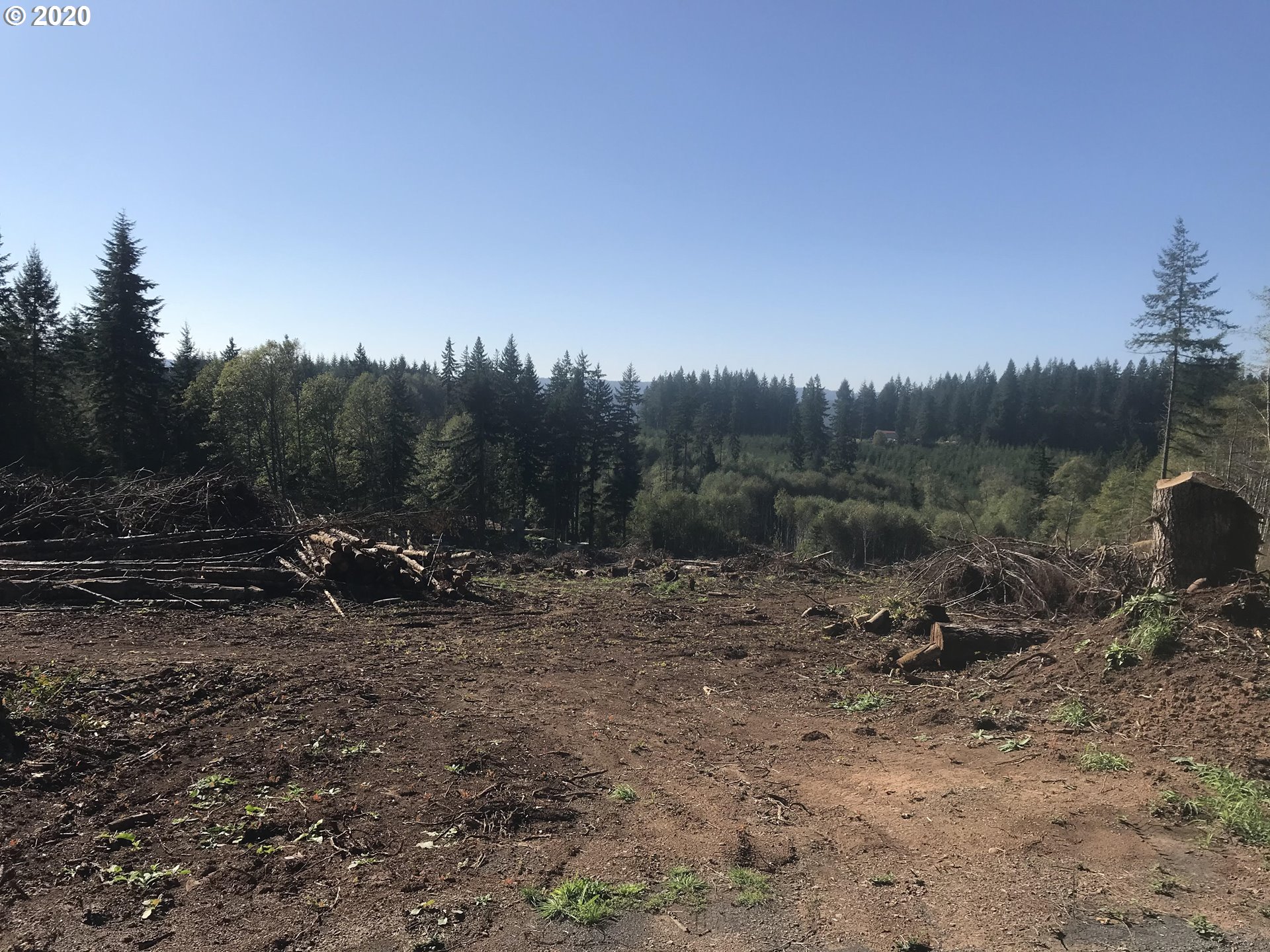 Beddel Road Deer Island, OR 97054 - Photo 1 of 4 Gallery Image 1