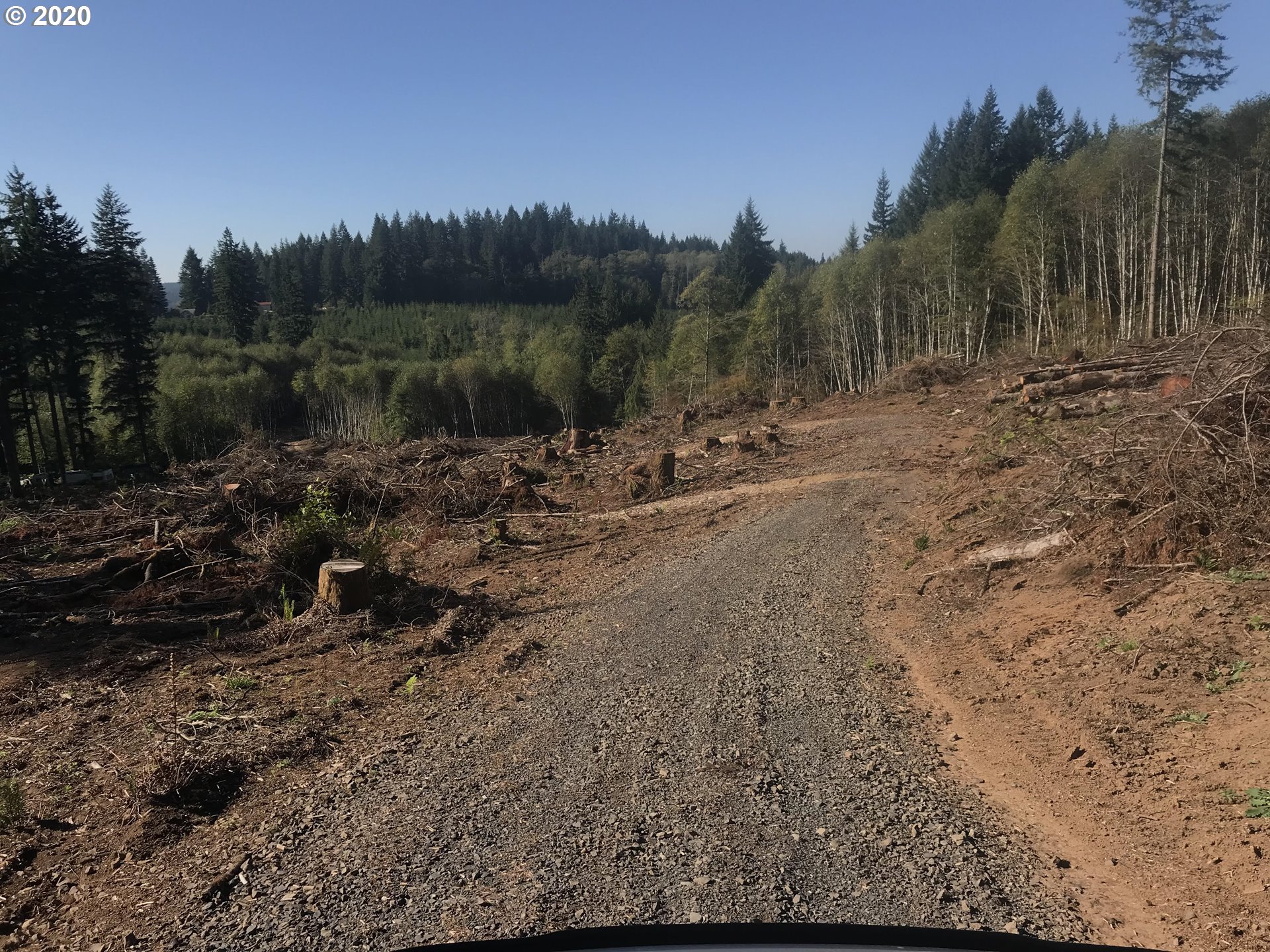 Beddel Road Deer Island, OR 97054 - Photo 3 of 4 Gallery Image 3