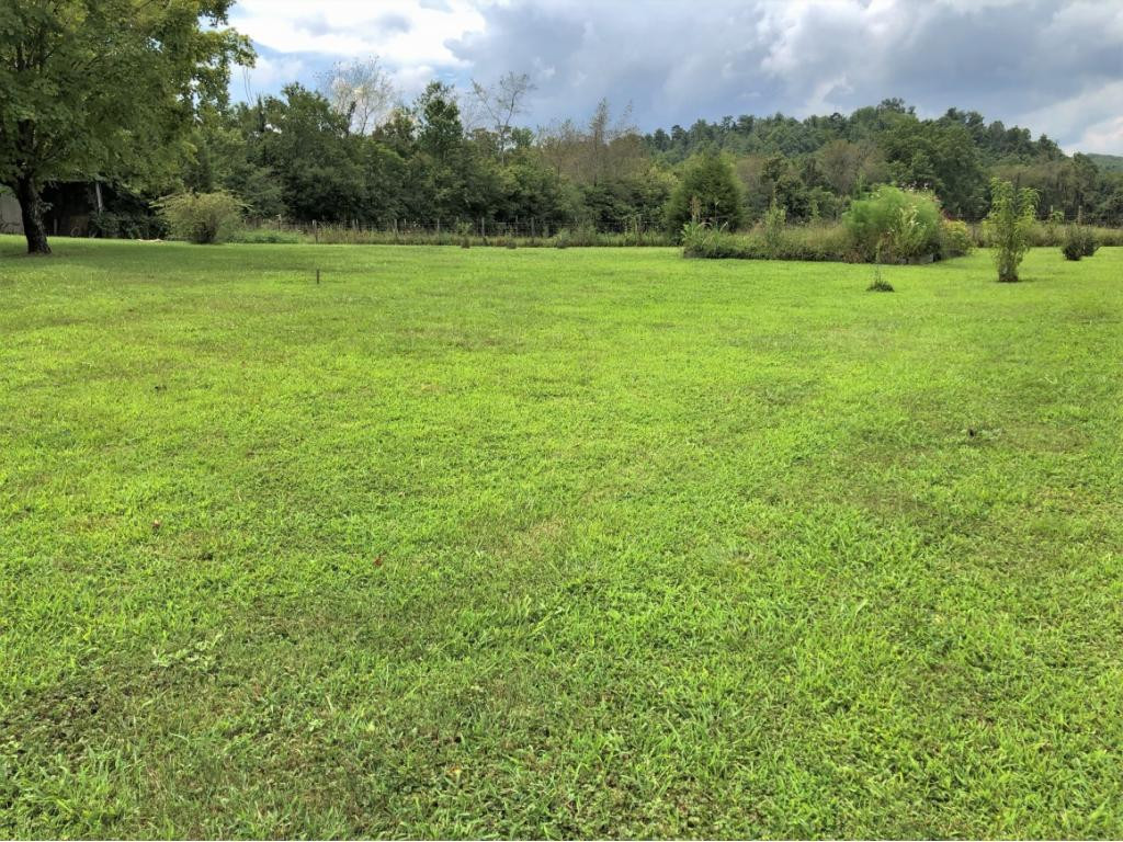 3885 Holders Grove Road Cosby, TN 37722 - Photo 32 of 36 Photo 32