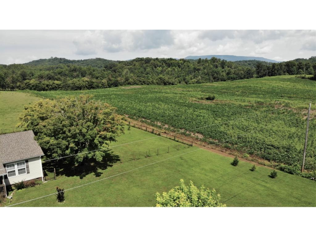 3885 Holders Grove Road Cosby, TN 37722 - Photo 33 of 36 Photo 33