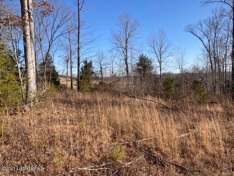 0 Cherry Spring Road Cub Run, KY 42729 - Photo 1 of 1 field
